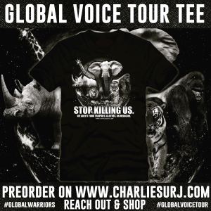 Global Warrior Tshirt